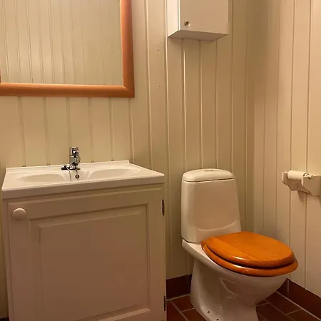 Koselig Og Sentral Med Peis Og Badstue Feriehus *